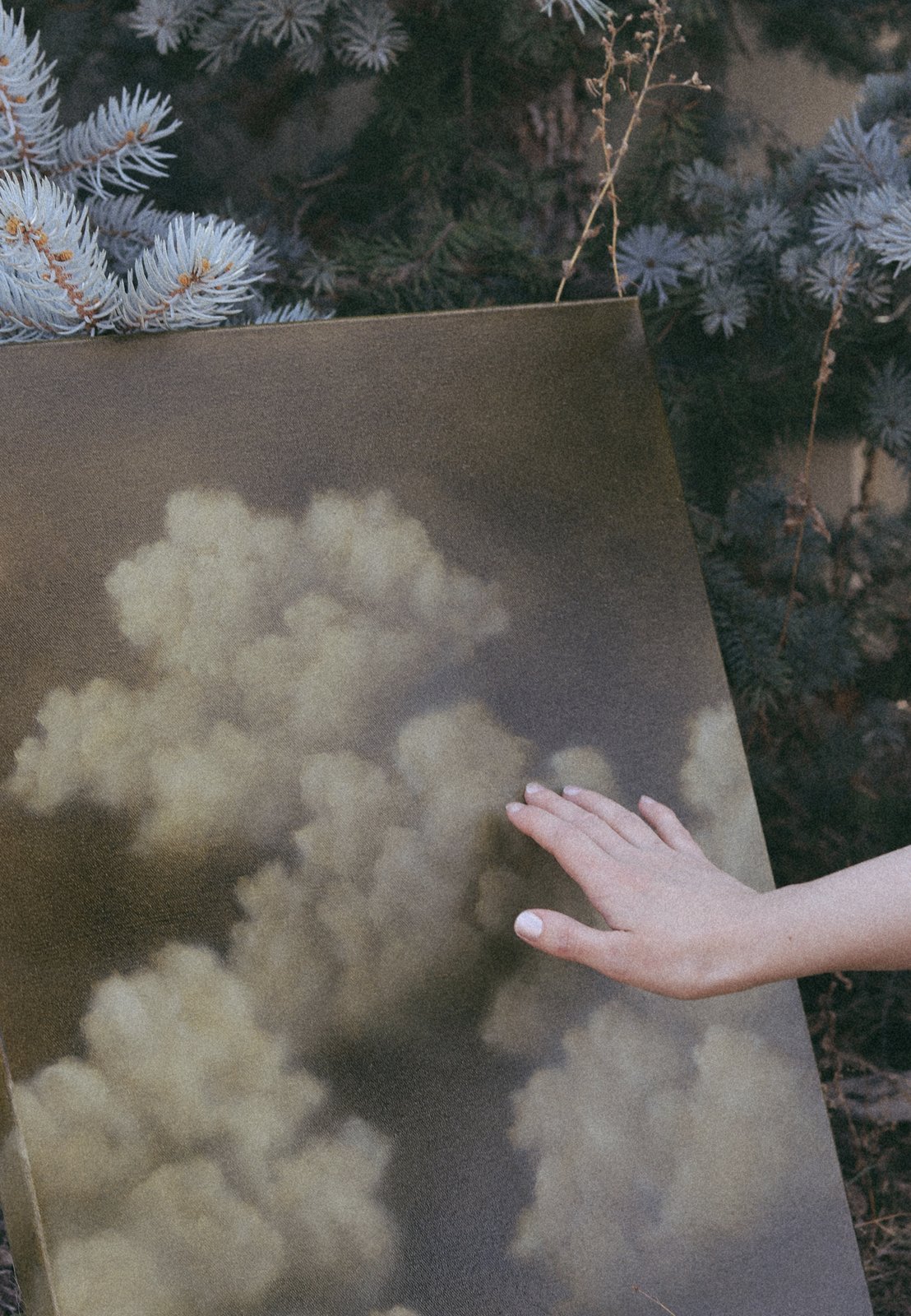 Olive Sky no.1, detail view 1